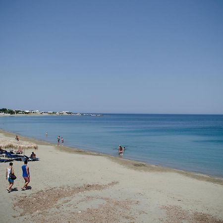 Georgias House Διαμέρισμα Σκύρος Εξωτερικό φωτογραφία